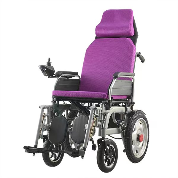 NL190301EW 5402 Purple