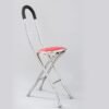 NL190302SC 2 1 Foldable Walking Stick Chair Stainless Steel 260kg Capacity