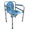 NL190303A 13 Versatile Adjustable Commode Chair in Blue White