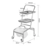 NL230101 SSTP01 Sleek and Spacious Stainless Steel Mayo Trolley for Efficient Medical Organization